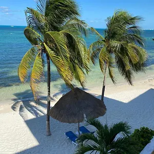 Tropical , Cancún Mexique